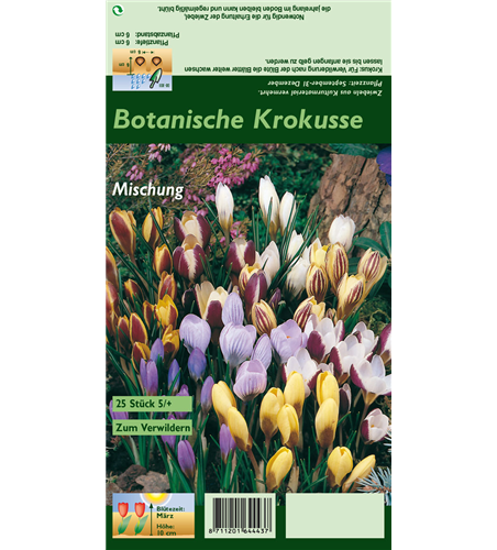 Botanische Krokusse