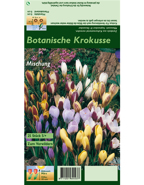 Botanische Krokusse