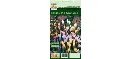 Botanische Krokusse