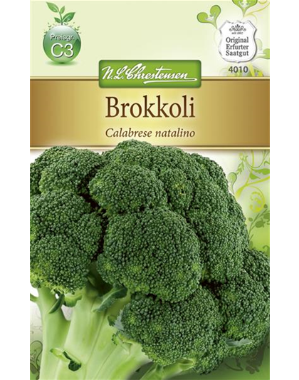 Brokkolisamen 'Calabrese natalino'