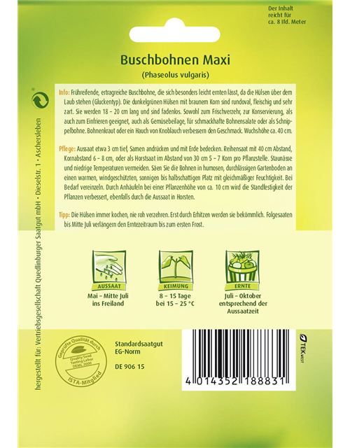 Buschbohnensamen 'Maxi'