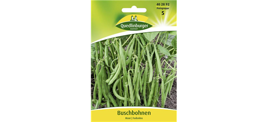 Buschbohnensamen 'Maxi'