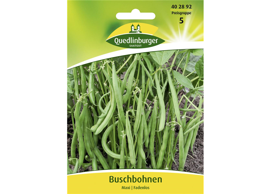 Buschbohnensamen 'Maxi'