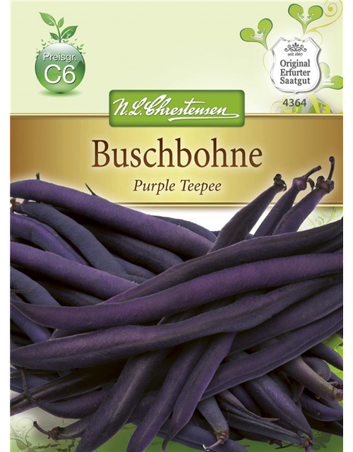 Buschbohnensamen 'Purple Teepee'