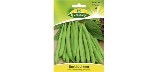 Buschbohnensamen 'Saxa'