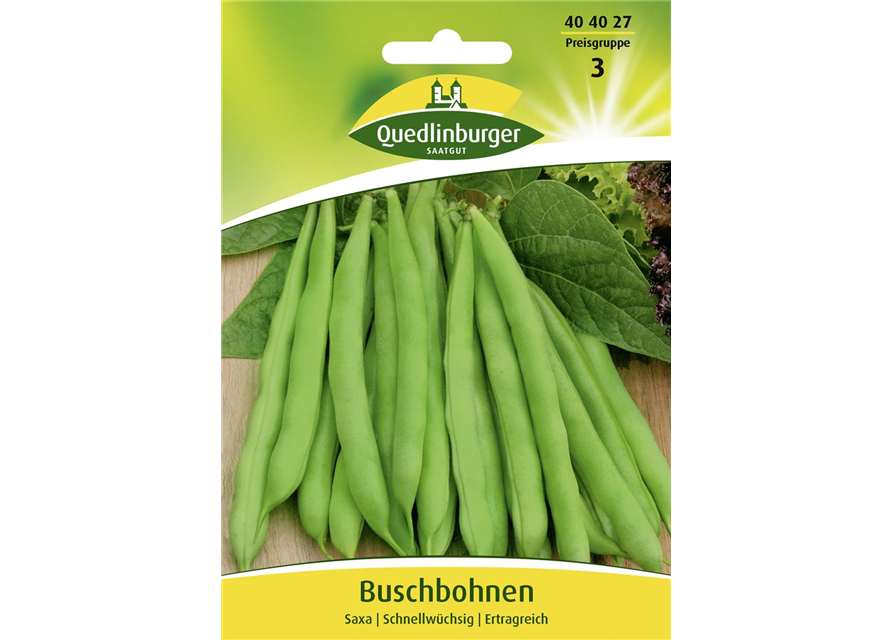 Buschbohnensamen 'Saxa'