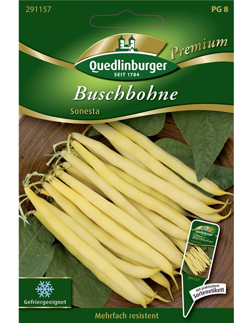 Buschbohnensamen 'Sonesta'