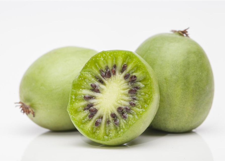 Mini-Kiwi