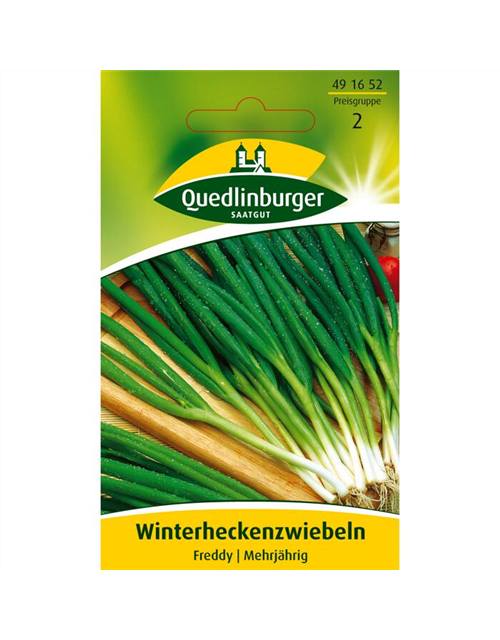 Winterheckenzwiebeln 'Freddy'