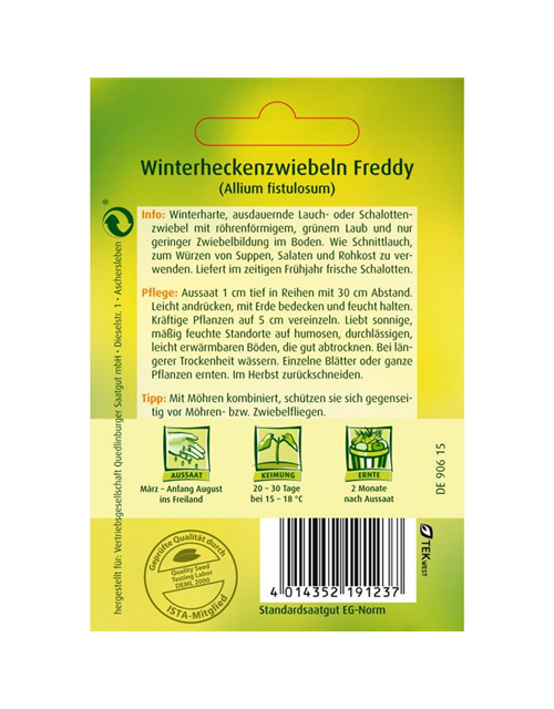 Winterheckenzwiebeln 'Freddy'