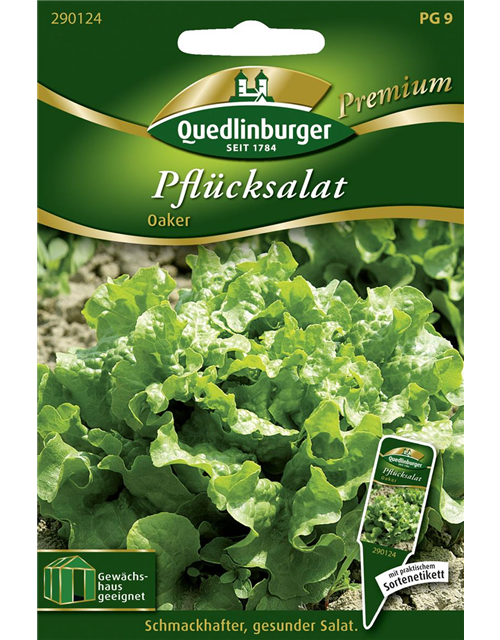 Eichblattsalatsamen 'Oaker'