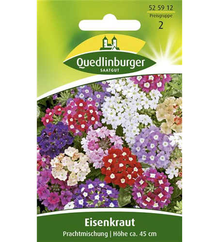 Eisenkrautsamen 'Prachtmischung'