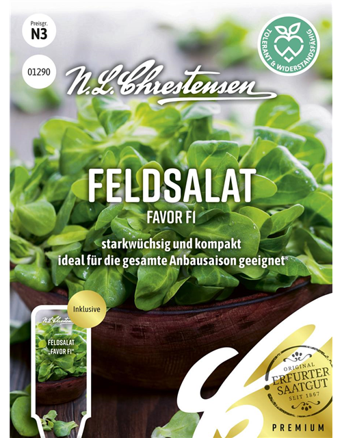 Feldsalatsamen 'Favor'