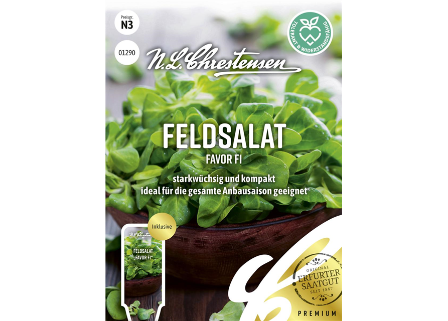 Feldsalatsamen 'Favor'