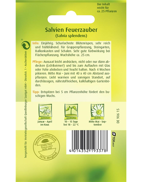 Feuer-Salbei-Samen 'Feuerzauber'