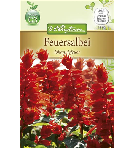 Feuersalbeisamen 'Johannisfeuer'