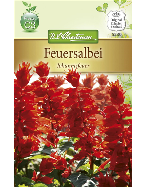 Feuersalbeisamen 'Johannisfeuer'