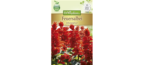 Feuersalbeisamen 'Johannisfeuer'