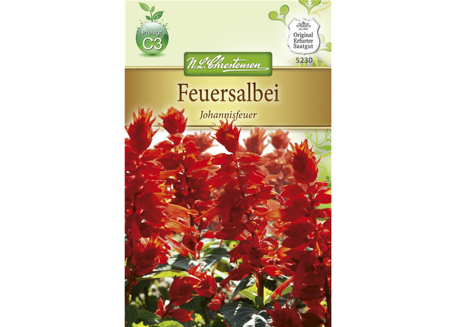 Feuersalbeisamen 'Johannisfeuer'